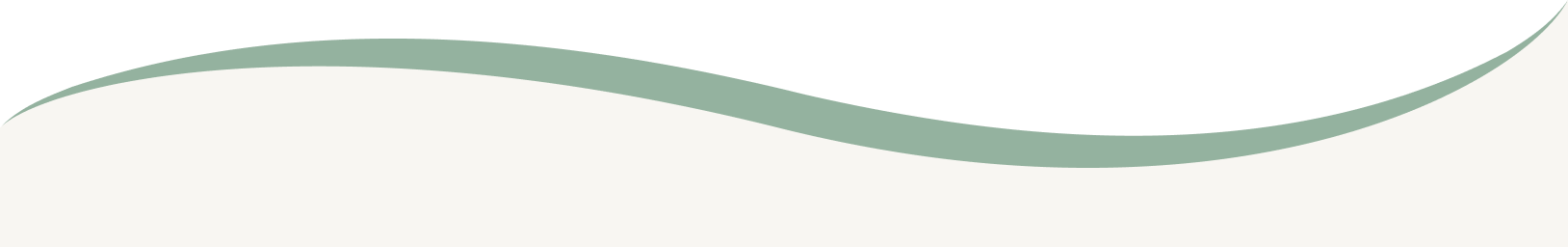 Hero Section Bottom
